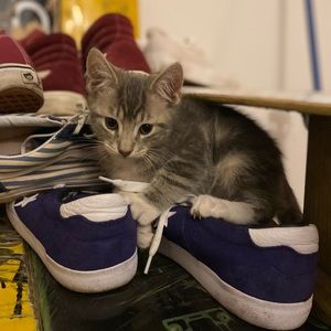 Meet your Posher, John